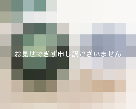 加工品例